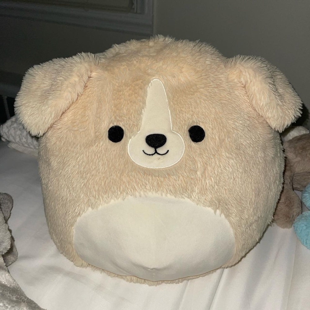 RARE: Stevon the Golden Retriever Fuzzamallow